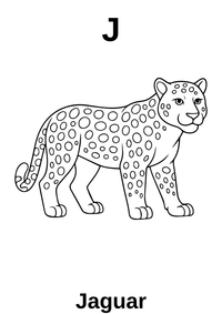 A’dan Z’ye Hayvan Boyama Kitabı