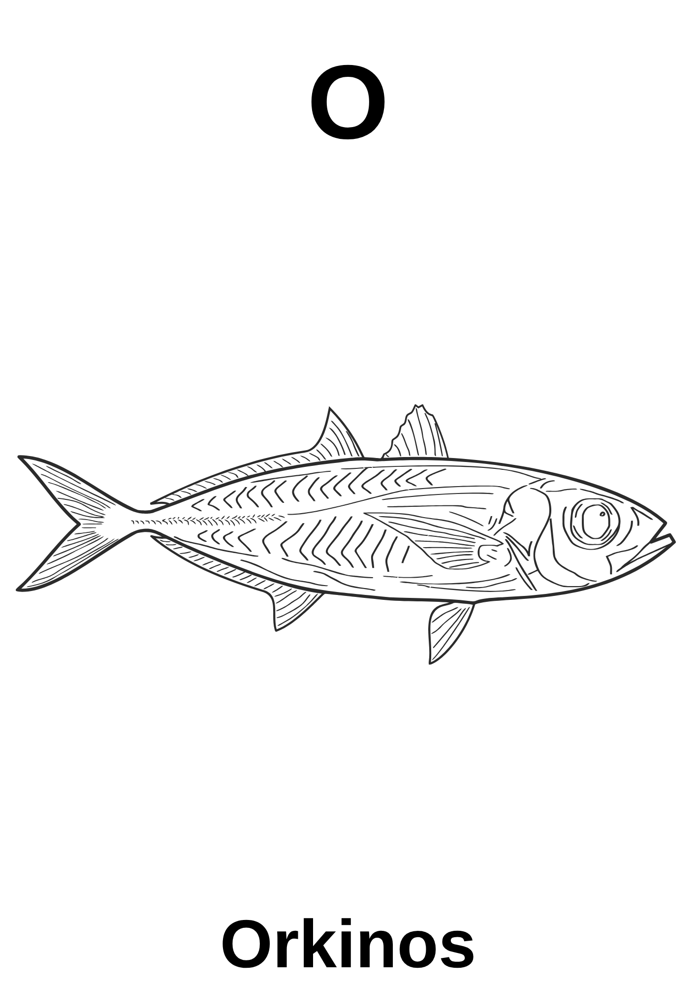 A’dan Z’ye Hayvan Boyama Kitabı