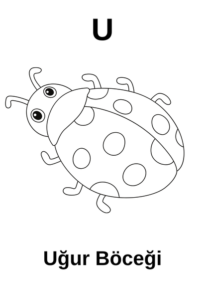 A’dan Z’ye Hayvan Boyama Kitabı