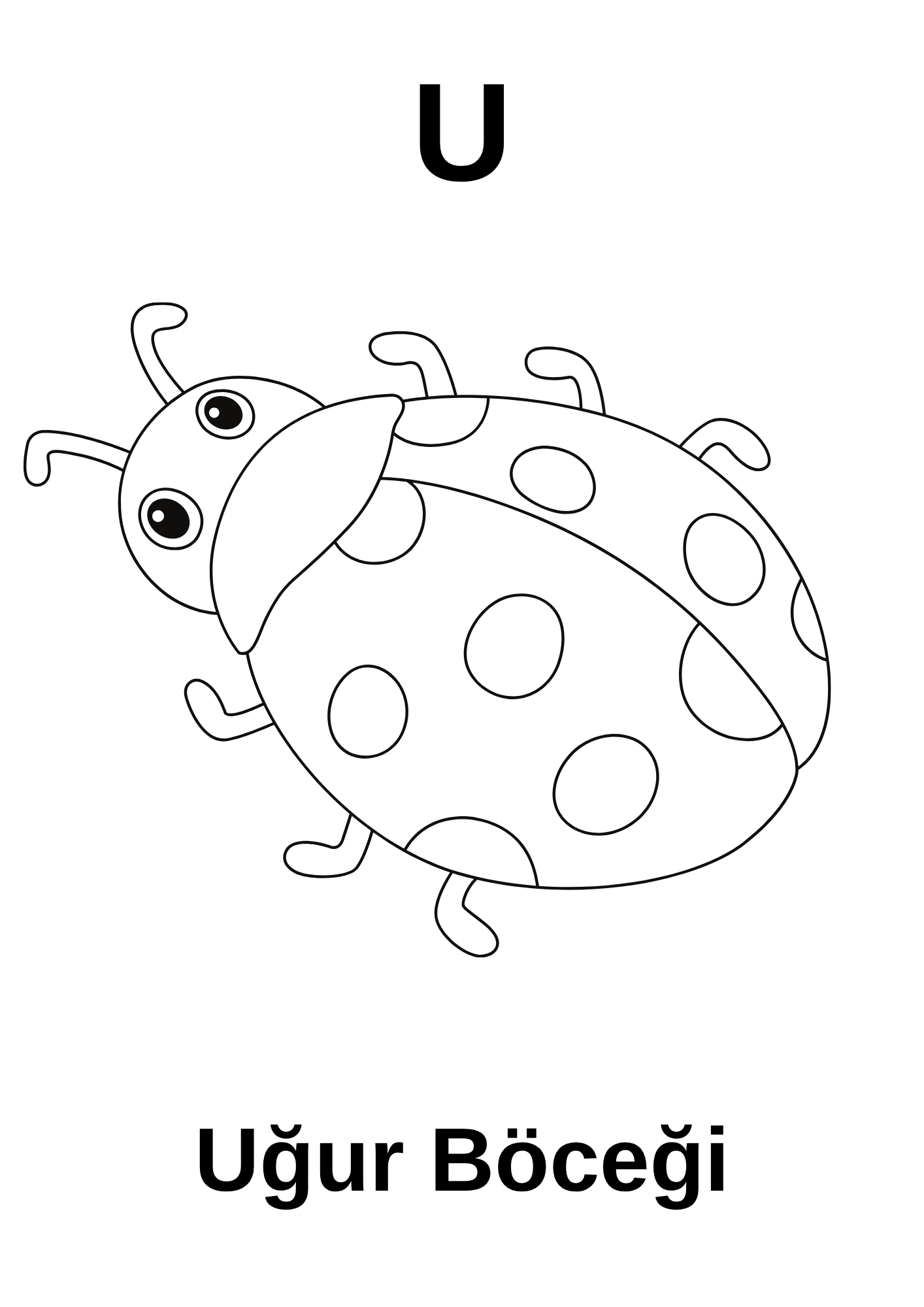 A’dan Z’ye Hayvan Boyama Kitabı