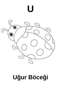 A’dan Z’ye Hayvan Boyama Kitabı