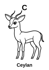 A’dan Z’ye Hayvan Boyama Kitabı