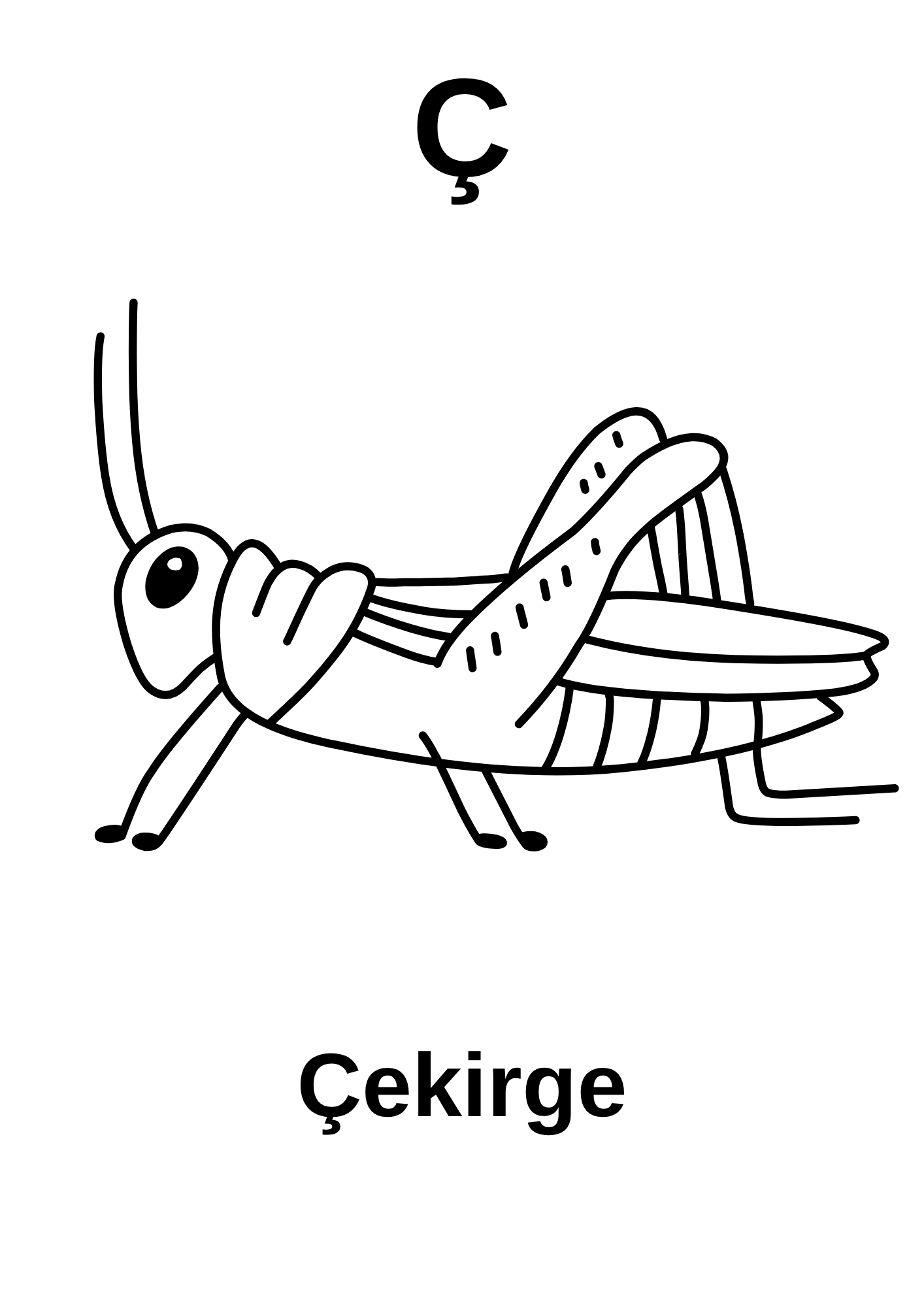 A’dan Z’ye Hayvan Boyama Kitabı
