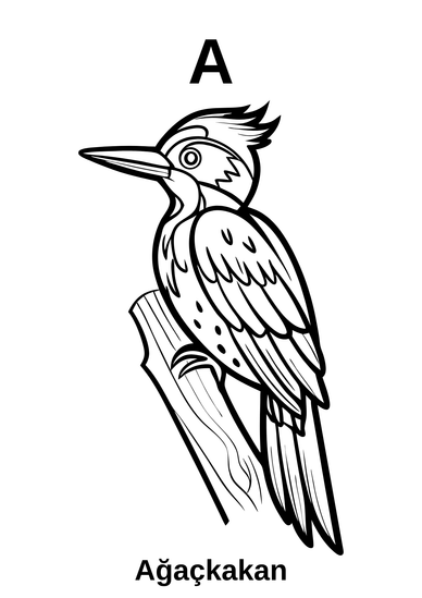 Hayal gücünü serbest bırak, yaratıcılığını keşfet!